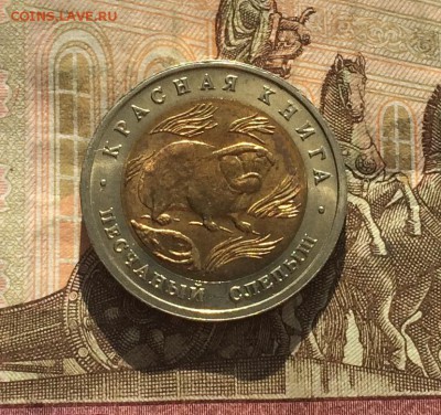50 рублей 1994г. К.К. Слепыш. без оборота до 18.03.19 - IMG_0976.JPG