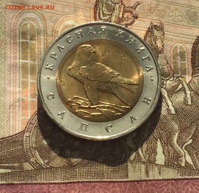 50 рублей 1994г. К.К. Сапсан. без оборота до 18.03.19 - IMG_0983.JPG