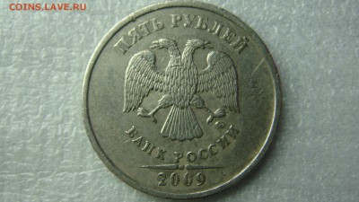Вопросы по разновиднстям от сахарок - DSC08348.JPG