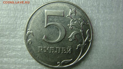 Вопросы по разновиднстям от сахарок - DSC08351.JPG