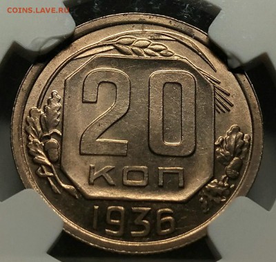 Оценка подборки ранних советов в слабах NGC - P_20190201_223256_vHDR_Auto_1