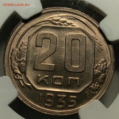 Оценка подборки ранних советов в слабах NGC - P_20190201_223415_vHDR_Auto_1