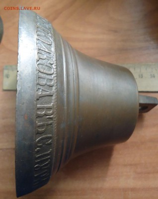 колокольчик - DSC03719.JPG