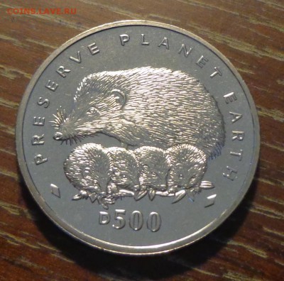 БОСНИЯ и ГЕРЦ. - Ежиха с ежатами до 22.03, 22.00 - Босния и Герцеговина Ежиха с ежатами_1.JPG