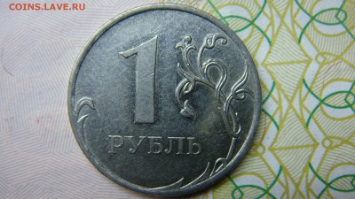 Вопросы по разновиднстям от сахарок - DSC08373.JPG