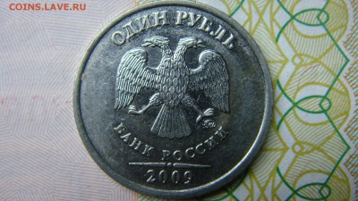 Вопросы по разновиднстям от сахарок - DSC08372.JPG