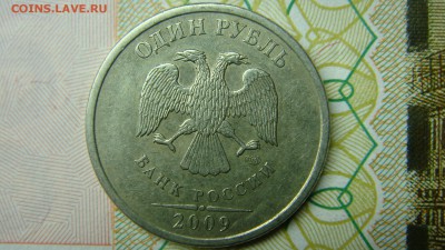 Вопросы по разновиднстям от сахарок - DSC08370.JPG