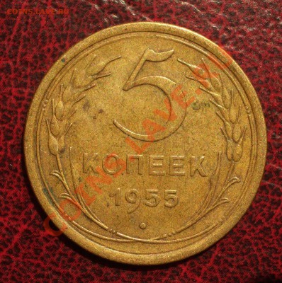 5 копеек 1955 (окон. 19.06.2011 в 22-00 МСК) - 05-1955