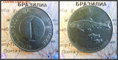 Словения 1 толар, 1995 - 12