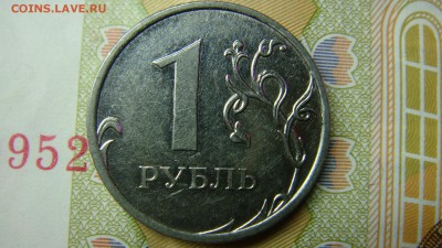 Вопросы по разновиднстям от сахарок - DSC08381.JPG