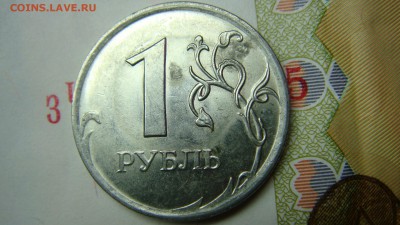 Вопросы по разновиднстям от сахарок - DSC08377.JPG