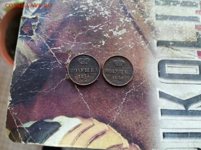 2 полушки 1854, 1856 ЕМ до 20.03.2019 - 2пол (3) - копия