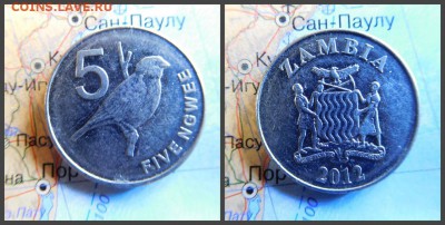 Замбия 5 нгве, 2012 - 2