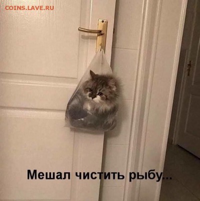 юмор - image (7)