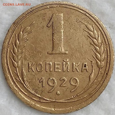 1 копейка 1929. До 19.03.19. 22-00 Мск. - pPPccLumSHg