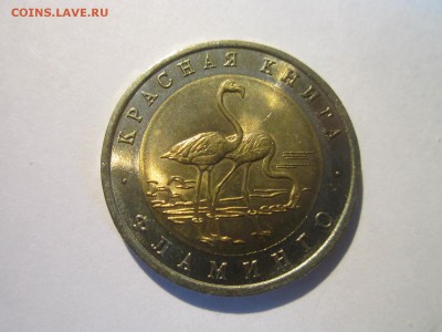 КК 1994 Фламинго 50 руб. до 24.03.19 в 22:30 - IMG_7127.JPG