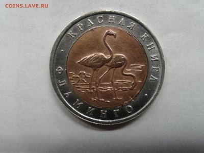 КК 1994 ФЛАМИНГО - 20190318_164410