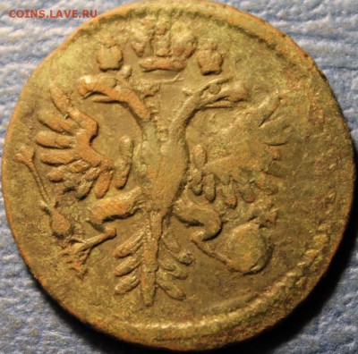 денга 1731г. Просьба оценить. - Денга 1731г.  МЕДУЗА 008.JPG