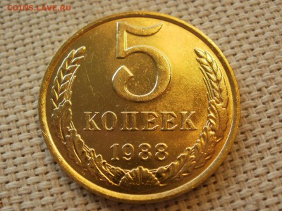 5коп 1988года Не наборная! Без обращения ИЗ МЕШКА до 21.03 - P1110085.JPG