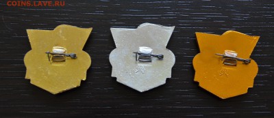 ЦК ВЛКСМ ДСО УРОЖАЙ   22-00 по МСК 23.03.2019 - DSC_0074.JPG