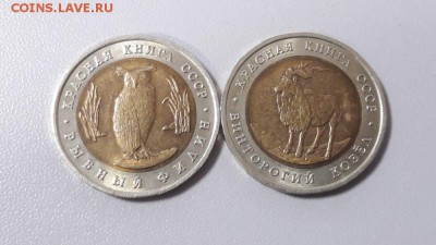 5р 1991г Филин и Козел, до 24.03 - Ч Филин и Козел-1