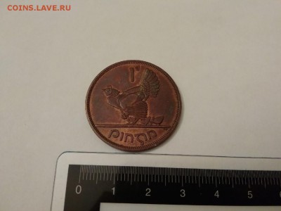 1 пенни Ирландия 1968 г Глухарь - 12
