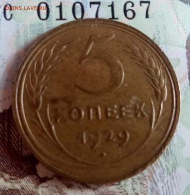 5 копеек 1929 до 24.03.19 - Без имени-1