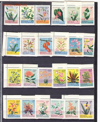 Малуку Селатам цветы 24м** - 25