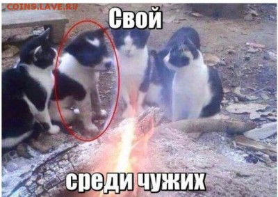 юмор - RJy9rIfi0yg