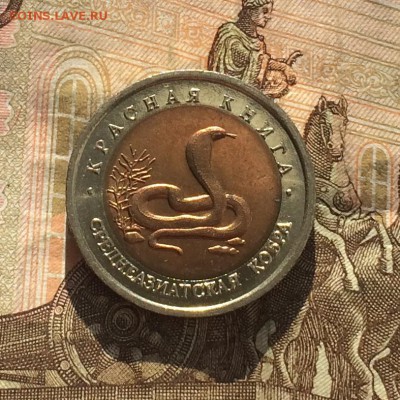 10 рублей 1992г. К.К. Кобра. без оборота до 25.03.19 - IMG_0932.JPG