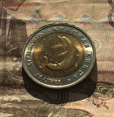 50 рублей 1993г. К.К. Афалина. без оборота до 25.03.19 - IMG_0958.JPG