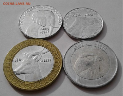 2,5,10,50 динаров Алжир 2004-2013гг. до 28.03.19г. 22:00 - 20190322_151526
