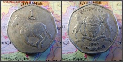 Ботсвана 1 пула, 1991 - 5