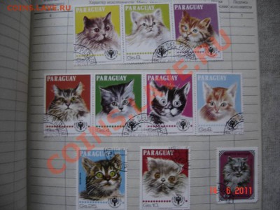 Много разных марок из разных стран - DSC00028.JPG