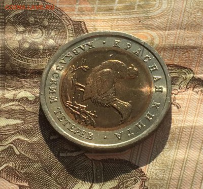 50 рублей 1993г. К.К. Тетерев. без оборота до 25.03.19 - IMG_0947.JPG