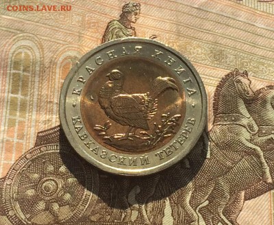 50 рублей 1993г. К.К. Тетерев. без оборота до 25.03.19 - IMG_0946.JPG