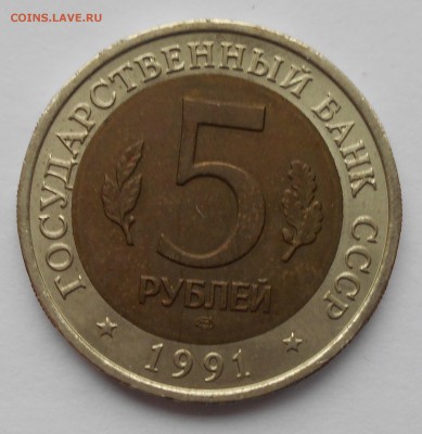 КК Филин до 28.03 22.00 - филин (2).JPG