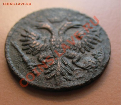 Деньга 1735 год,Глаза Перья С рубля, до 20.06.2011г 16-00мск - !!! !!!! !!!!!!!!!!!!!!!!!!!!!!!!!!!!!!!!!!!!! 060