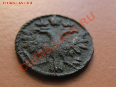 Полушка 1719г Петр-1, до 20.06.2011г 16-00мск - !!! !!!! !!!!!!!!!!!!!!!!!!!!!!!!!!!!!!!!!!!!! 074
