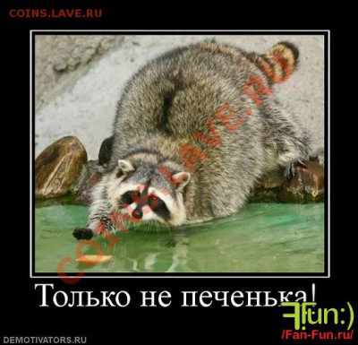ФАНАТЫ ЕНОТОВ СОБИРАЮТСЯ ЗДЕСЬ!!! - pechenka_4