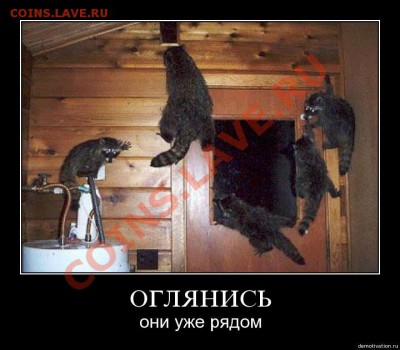 ФАНАТЫ ЕНОТОВ СОБИРАЮТСЯ ЗДЕСЬ!!! - alw2stm1psv9