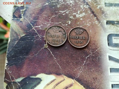 2 полушки 1854, 1856 ЕМ до 27.03.2019 - 2пол (6) - копия