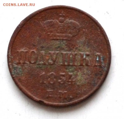 полушка 1854 ЕМ до 22.00 мск 31.03.2019 г - DSC_2366 (4).JPG