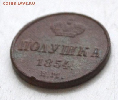 полушка 1854 ЕМ до 22.00 мск 31.03.2019 г - DSC_2367 (3).JPG