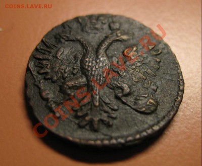 Деньга 1731год ГЛАЗА ПЕРЬЯ, С рубля, до 20.06.2011г 22-00мск - !!! !!!! !!!!!!!!!!!!!!!!!!!!!!!!!!!!!!!!!!!!! 063