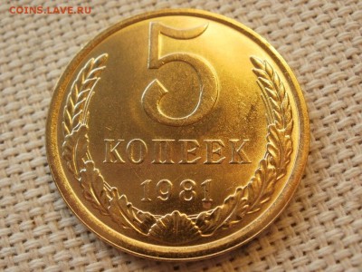 5 коп 1981года Не наборная! Без обращения! ИЗ МЕШКА до 27.03 - P1110073.JPG