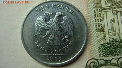Вопросы по разновиднстям от сахарок - DSC08420.JPG