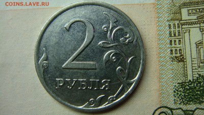 Вопросы по разновиднстям от сахарок - DSC08419.JPG