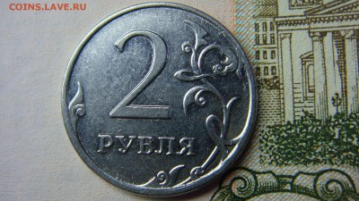 Вопросы по разновиднстям от сахарок - DSC08417.JPG