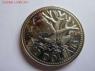 Крона Шайба Барбадос 2$ доллара 1977 Коралл платицериум Рыба - krona_shajba_barbados_2_dollara_1977_korall_platicerium_ryba_fauna